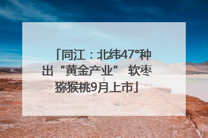 同江：北纬47°种出“黄金产业” 软枣猕猴桃9月上市