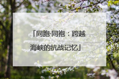 同胞·同袍：跨越海峡的抗战记忆