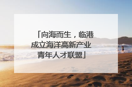 向海而生，临港成立海洋高新产业青年人才联盟