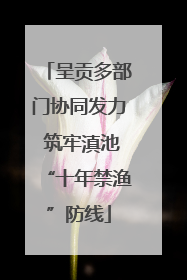 呈贡多部门协同发力 筑牢滇池“十年禁渔”防线