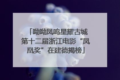 呦呦凤鸣星耀古城 第十二届浙江电影“凤凰奖”在建德揭榜