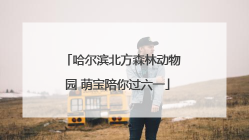 哈尔滨北方森林动物园 萌宝陪你过六一