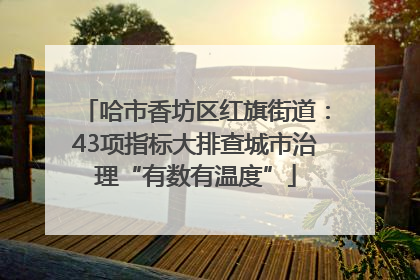 哈市香坊区红旗街道：43项指标大排查城市治理“有数有温度”