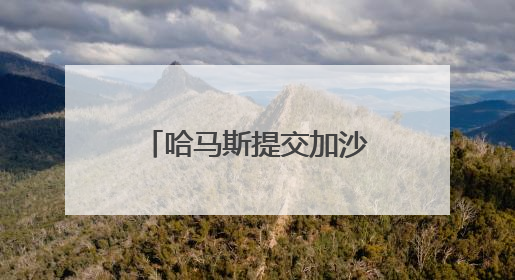 哈马斯提交加沙停火提议回应 以方称将此回应视为“有效拒绝”