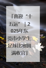喜迎“十五运”｜2025年东莞市小学生足球比赛圆满收官