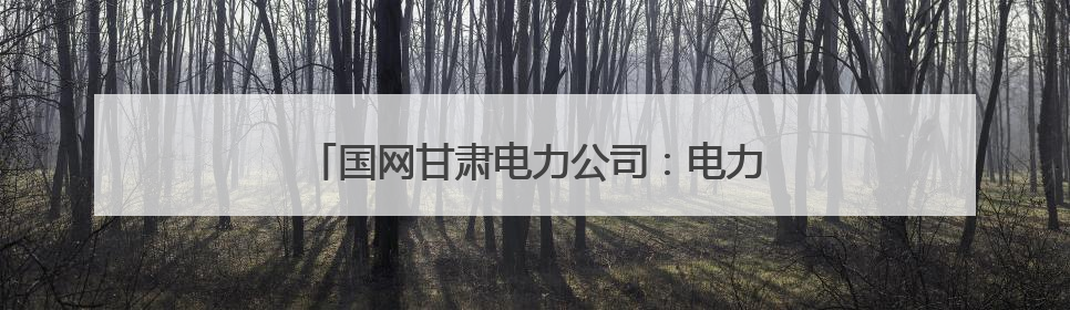 国网甘肃电力公司：电力交易含“绿”量不断上升