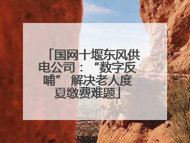 国网十堰东风供电公司：“数字反哺” 解决老人度夏缴费难题