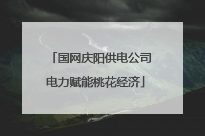 国网庆阳供电公司电力赋能桃花经济