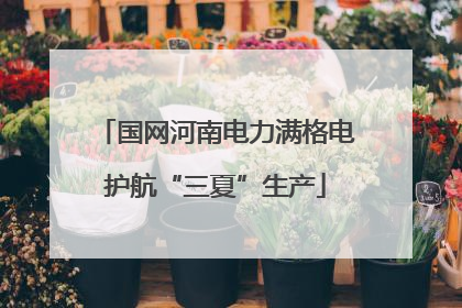 国网河南电力满格电护航“三夏”生产