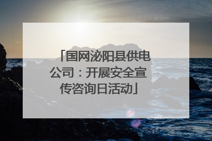 国网泌阳县供电公司：开展安全宣传咨询日活动