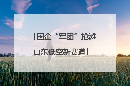 国企“军团”抢滩山东低空新赛道