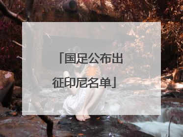 国足公布出征印尼名单