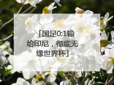 国足0:1输给印尼，彻底无缘世界杯