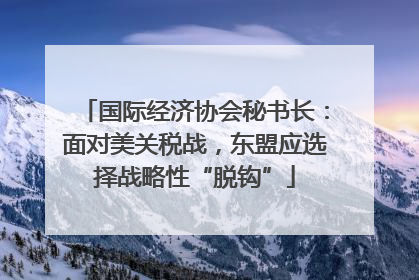 国际经济协会秘书长：面对美关税战，东盟应选择战略性“脱钩”