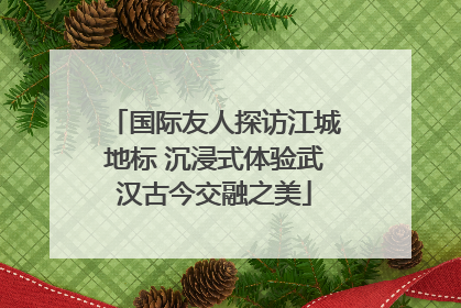 国际友人探访江城地标 沉浸式体验武汉古今交融之美
