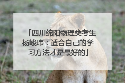 四川绵阳物理类考生杨峻玮：适合自己的学习方法才是最好的