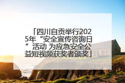 四川自贡举行2025年“安全宣传咨询日”活动 为应急安全公益短视频获奖者颁奖