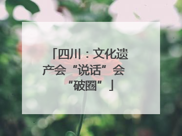 四川：文化遗产会“说话”会“破圈”