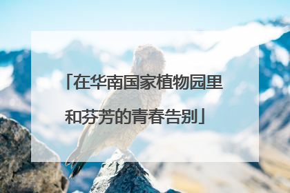 在华南国家植物园里和芬芳的青春告别