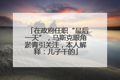 在政府任职“最后一天”，马斯克眼角淤青引关注，本人解释：儿子干的