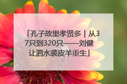 孔子故里孝贤多｜从37只到320只——刘健让泗水裘皮羊重生