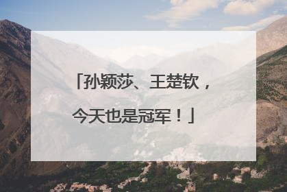 孙颖莎、王楚钦，今天也是冠军！