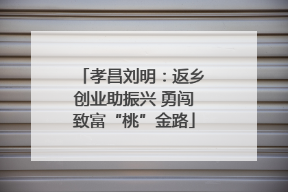 孝昌刘明：返乡创业助振兴 勇闯致富“桃”金路