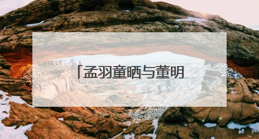 孟羽童晒与董明珠合照：感念曾经，未来珍重