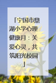 宁国市鼎湖小学心理健康月：关爱心灵，共筑阳光校园