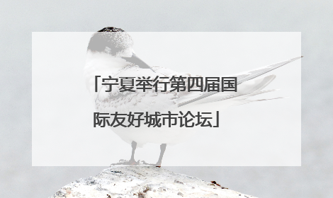 宁夏举行第四届国际友好城市论坛
