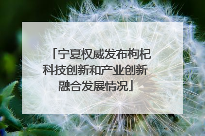宁夏权威发布枸杞科技创新和产业创新融合发展情况