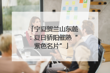 宁夏贺兰山东麓：夏日骄阳催熟“紫色名片”