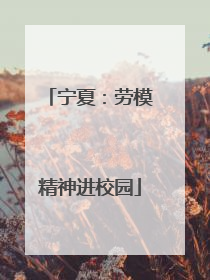 宁夏：劳模精神进校园