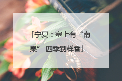 宁夏：塞上有“南果” 四季别样香