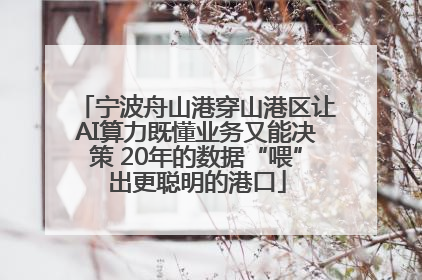 宁波舟山港穿山港区让AI算力既懂业务又能决策 20年的数据“喂”出更聪明的港口