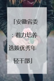 安徽省委：着力培养选拔优秀年轻干部
