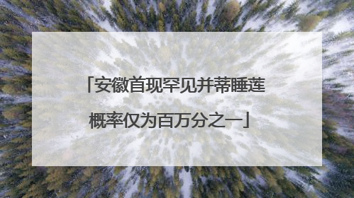 安徽首现罕见并蒂睡莲 概率仅为百万分之一