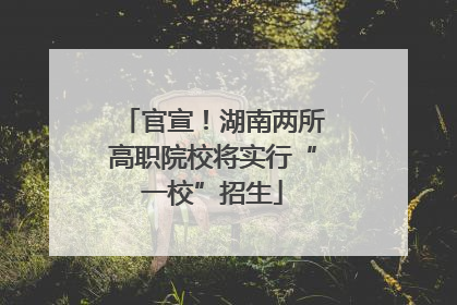 官宣！湖南两所高职院校将实行“一校”招生
