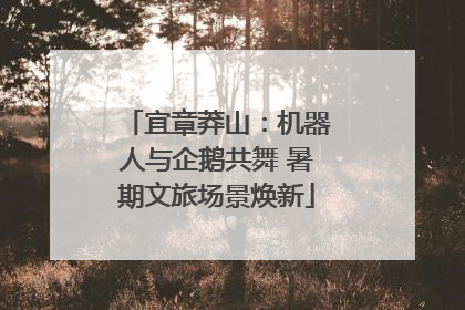 宜章莽山：机器人与企鹅共舞 暑期文旅场景焕新