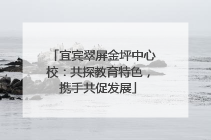 宜宾翠屏金坪中心校：共探教育特色，携手共促发展