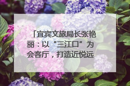宜宾文旅局长张艳丽：以“三江口”为会客厅，打造近悦远来的国际旅游城市｜文旅局长说