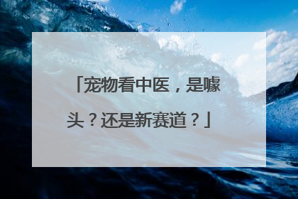 宠物看中医，是噱头？还是新赛道？