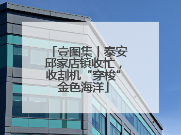 壹图集丨泰安邱家店镇收忙，收割机“穿梭”金色海洋