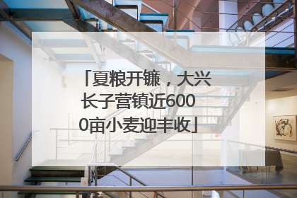 夏粮开镰，大兴长子营镇近6000亩小麦迎丰收