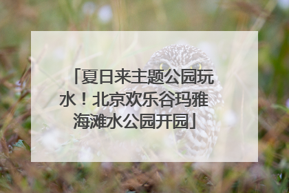 夏日来主题公园玩水！北京欢乐谷玛雅海滩水公园开园