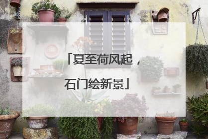 夏至荷风起，石门绘新景