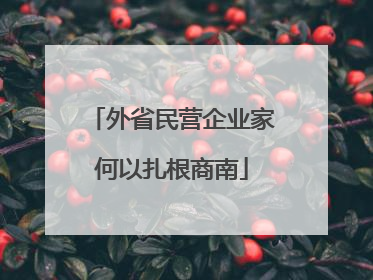 外省民营企业家何以扎根商南