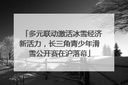 多元联动激活冰雪经济新活力，长三角青少年滑雪公开赛在沪落幕
