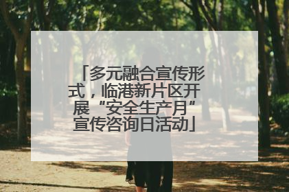 多元融合宣传形式，临港新片区开展“安全生产月”宣传咨询日活动