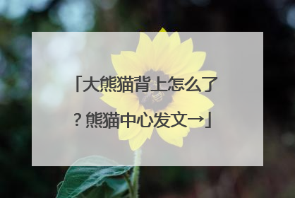 大熊猫背上怎么了？熊猫中心发文→